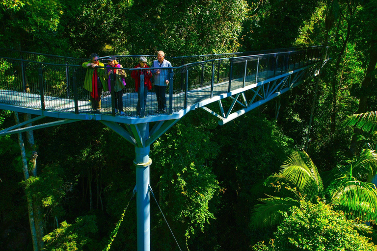 Brisbane: Hop on Hop off Bus to Tamborine Mountain