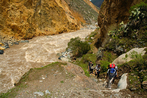 AREQUIPA: COLCA CANYON TREKKING 2 DAYS AND 1 NIGHT