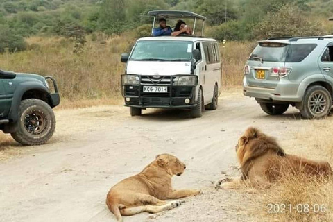 Nairobi Nationalpark, Elefantenbaby & Mittagessen im Carnivore