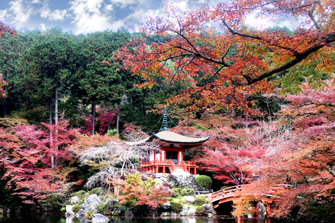 Kyoto: Private Tour with English Guide Pickup And Drop Off