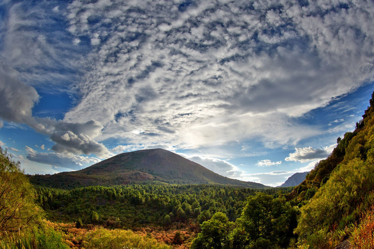 From Naples: Pompeii and Vesuvius Tour with LunchRegular Group Tour