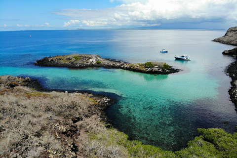 De Puerto Ayora: Pinzón e La Fé - passeio completo de mergulho com snorkel