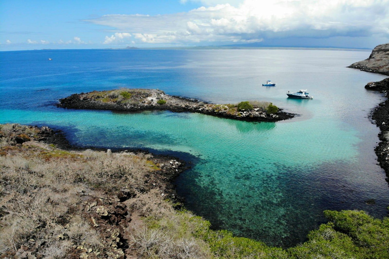 Da Puerto Ayora: Pinzón e La Fé - Tour completo di snorkeling