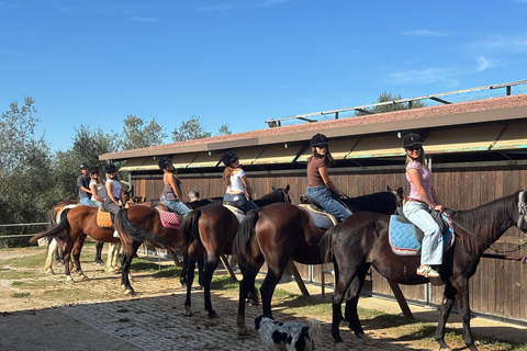 Horseback Riding with Wine Tour from Florence