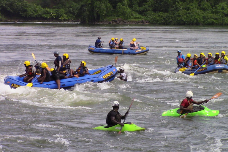 Grade 3 White water rafting on the Nile River