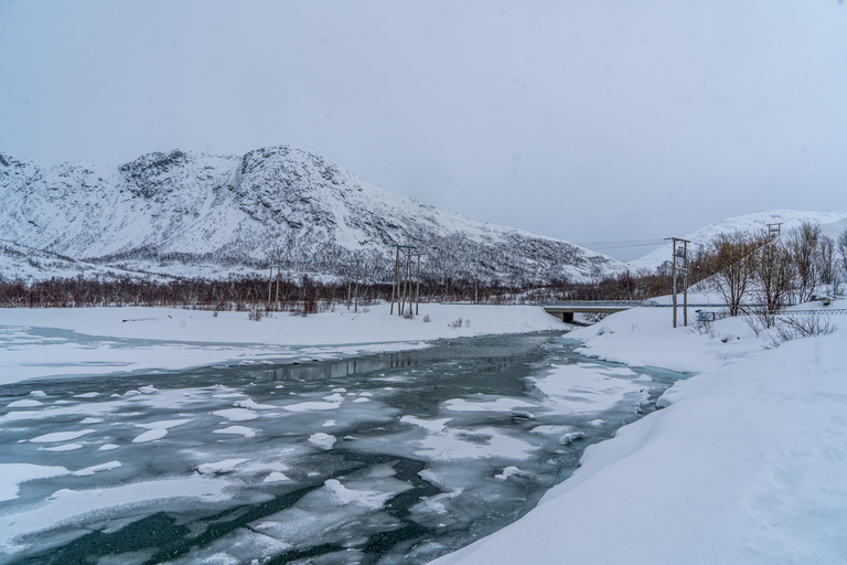 Tromsø: Senja Fjord & Landscape Tour in Chinese Small-Group