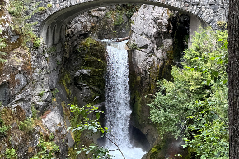 Mount Rainier National Park Small-Group DayTour from Seattle