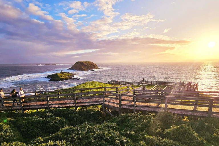 Phillip Island: Rejs z fokami, parada pingwinów i koale