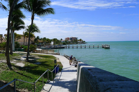 From Miami:Small Group Fort Lauderdale,Palm Beach 1-Day Tour Tour only