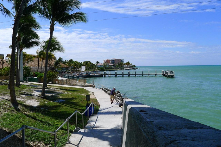 From Miami:Small Group Fort Lauderdale,Palm Beach 1-Day Tour Tour only