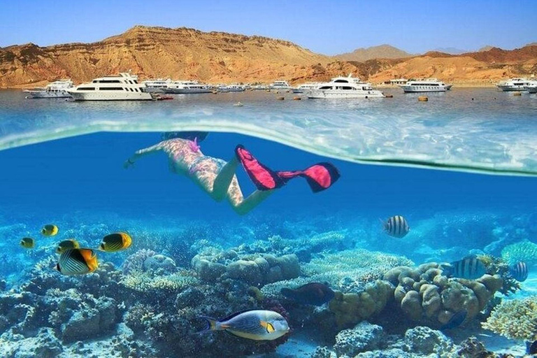 Sharm El Sheikh: Ras Mohamed Snorkeling & Diving Boat Trip Ras Mohamed & White Island – Snorkeling Package