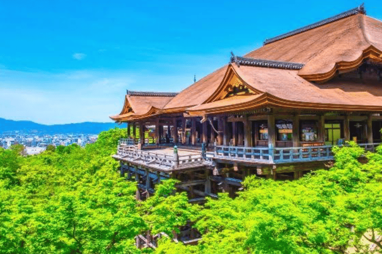 Kyoto Full Day Customizable Private Tour with English Guide