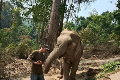 Chiang Mai: 2-Day Jungle Trek with Elephant Farm & Raft Ride Hotel Pickup and Drop-off (within Pickup Area)