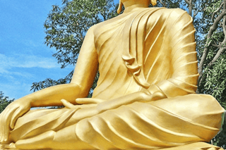 Surat Thani: Shore Excursions