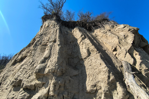 Gdynia: Forest, Cliff, and Beach Guided Walking Tour