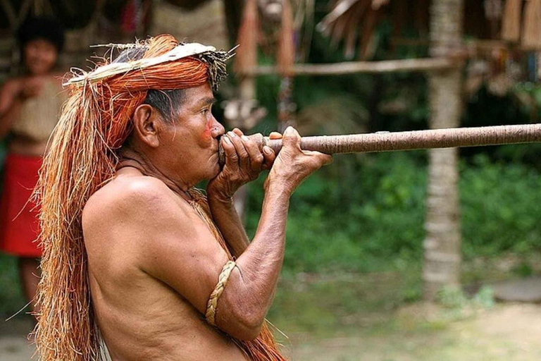 Iquitos : 2 jours en Amazonie, une merveille naturelle du monde