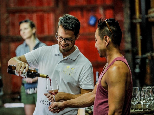 Visit Douro Classic Wine Tasting with Guided Tour in Alvadia