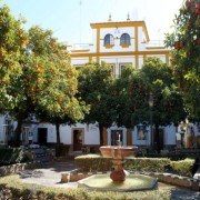 Sevilla: Tour privado Catedral, Alcázar y Santa Cruz | GetYourGuide