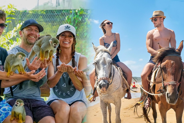 Horseback Ride & Monkey Island Tour with Pickup Puerto Plata