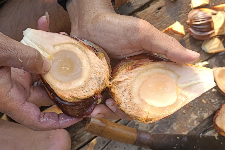 Bokor mountain, Pepper plantation and Man-made lake
