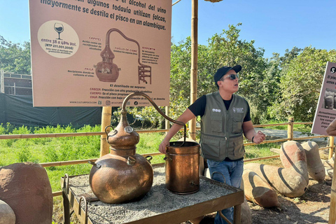 From Lima: Full Day Private All Inclusive Paracas, Ica.