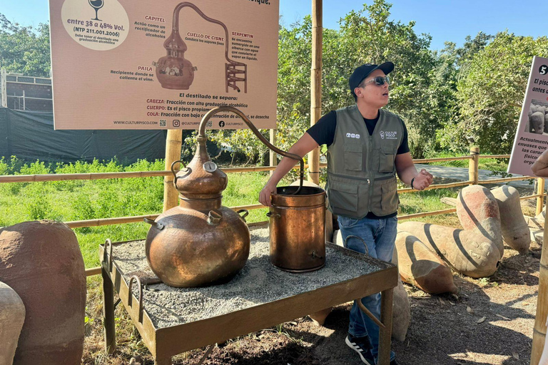 From Lima: Full Day Private All Inclusive Paracas, Ica.