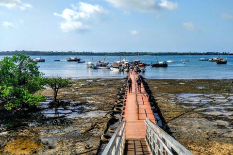 Day Trip: Kisite Dolphin Safari & Wasini Island with Lunch From Diani: Wasini Island Tour with Snorkeling and Lunch