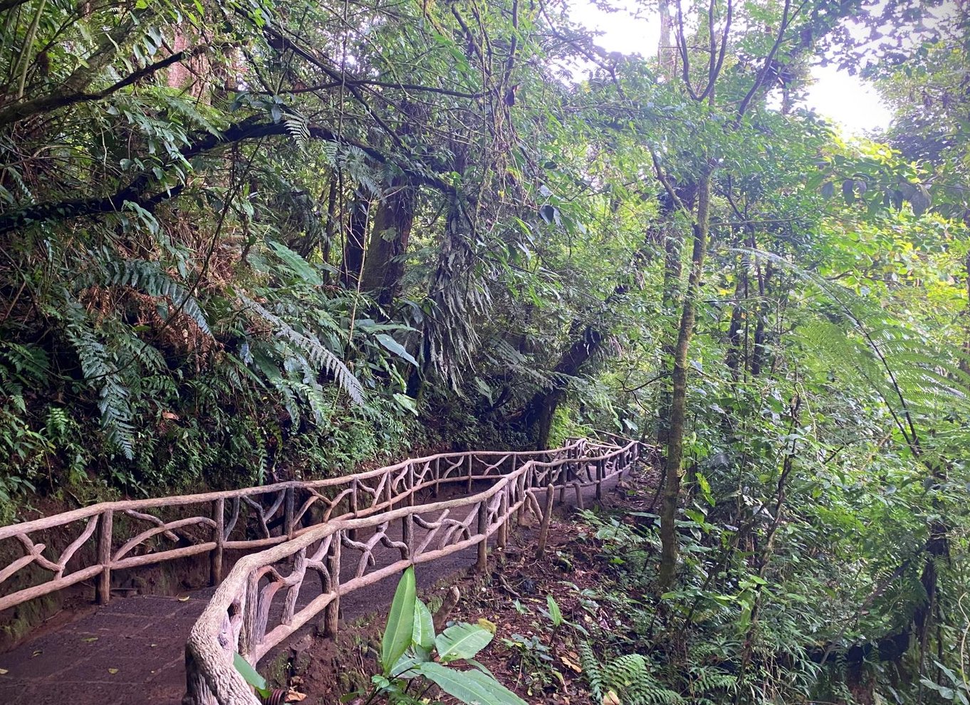 La Paz Waterfall Gardens dagsbillet