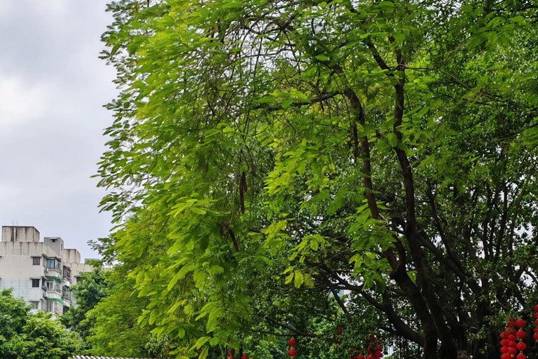 Guangzhou: ontdek de cultuur, het erfgoed en de lokale keuken van XiguanGuangzhou: Ontdek de cultuur, het erfgoed en de lokale keuken van Xiguan