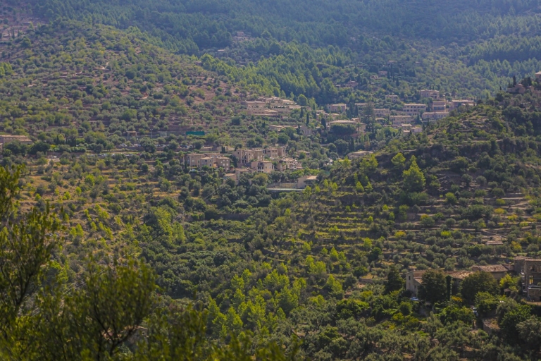 Valldemosa and Soller Day Tour with Tram and Bus