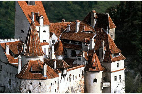 From Brașov: Bran Castle, Bear Sanctuary, & Poiana Brașov