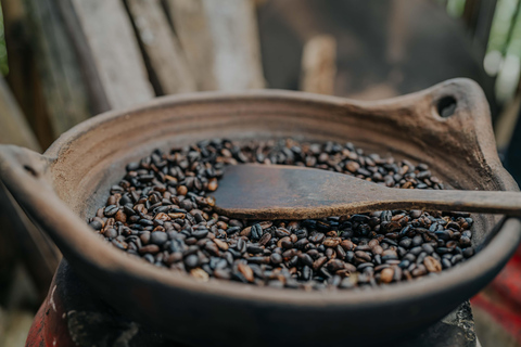 Bali: Private Shore Excursion from Celukan Bawang Port Best Asian Tour Picks – Shared Experiences ( Full Day )