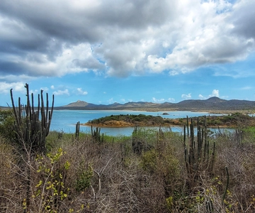 Bonaire: Private Highlights Island Tour Lunch/Snorkling incl