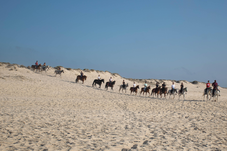 Melides: Ridning på Melides Beach