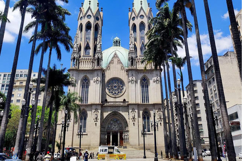 São Paulo: Small-Group Walking Tour with Guide