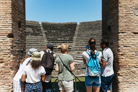 Depuis Naples : journée de visite des ruines de Pompéi et du VésuveVisite guidée en anglais - Prise en charge à la gare centrale
