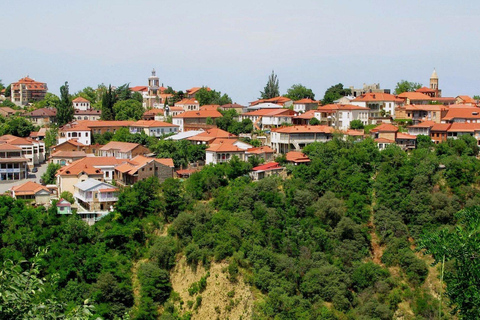 From Tbilisi: Kakheti Region Tour with 7 Wine Tastings