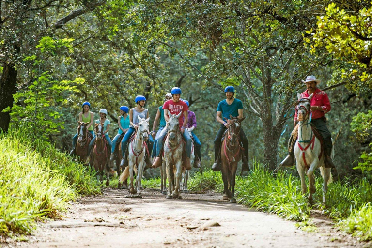 COSTA RICA:UPPTÄCK COSTARICAS VILDA DJUR-STRAND &amp; SKOG 2VECKOR