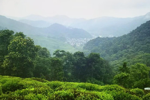 Suzhou: Hangzhou Nine Creeks & Longjing Tea Village Trip