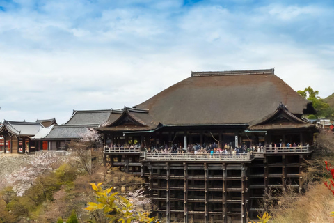 Kyoto, Nara, or Osaka: Private Day Trip with Guide and Car