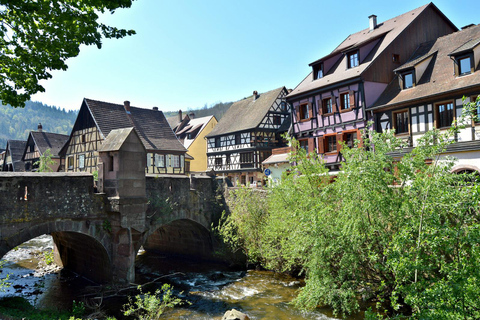 Da Colmar: tour della strada del vino dell&#039;Alsazia di mezza giornata