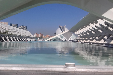 La Cité des Arts et des Sciences de Valence