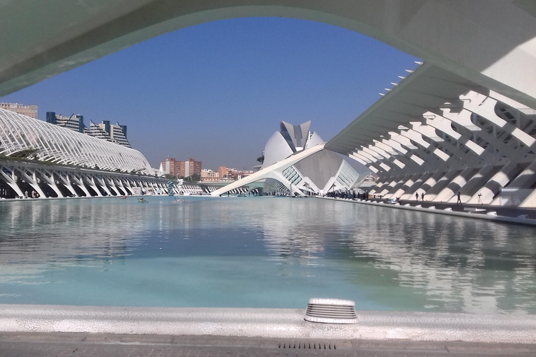 The City of Arts and Sciences in Valencia