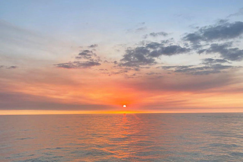 Naples, FL: Stand-Up Paddleboard Rental 24h Stand-Up Paddleboard Rental