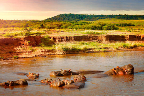 From Nairobi: 3-Day Masai Mara Safari at Sopa Lodge