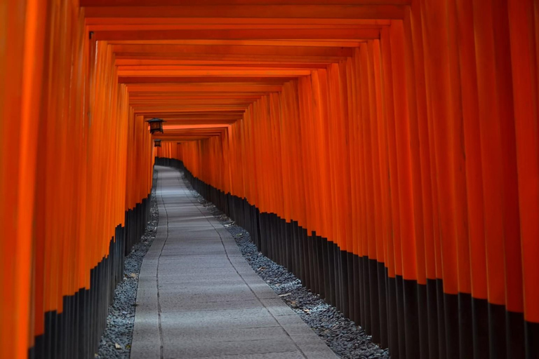 Kyoto: Autumn Leaves Tour with Temples and Gardens