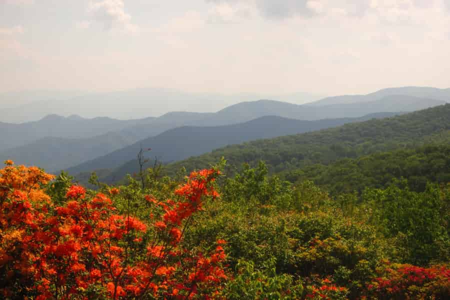 Gatlinburg: Geführte Wanderung durch die Smoky Mountains und die Appalachen. Foto: GetYourGuide