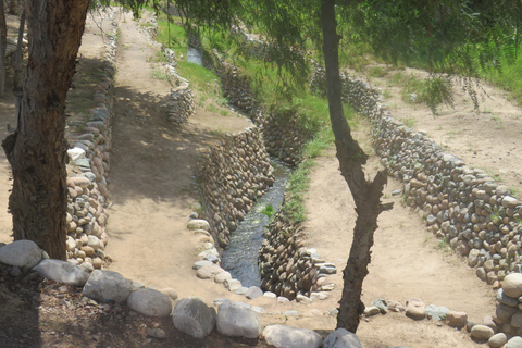 De Nazca : Aqueducs de CantallocAqueducs de Cantalloc