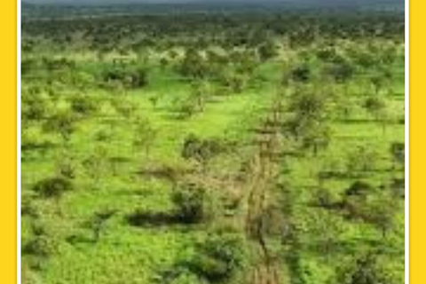 Addis Abeba: 7-dniowa wycieczka do parków narodowych Chebera i Maze