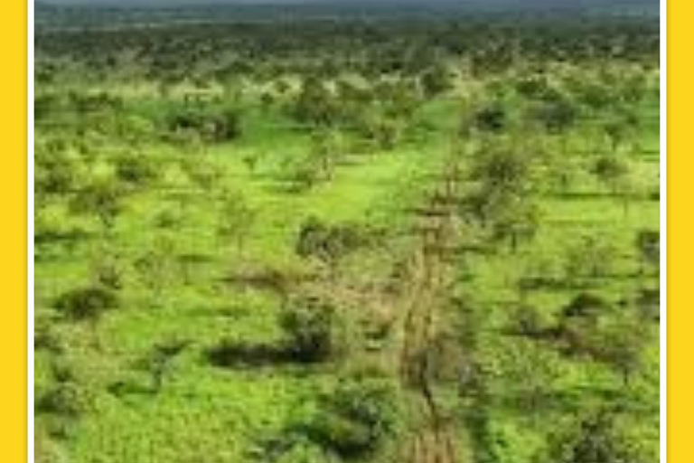 Addis Abeba: 7-dniowa wycieczka do parków narodowych Chebera i Maze